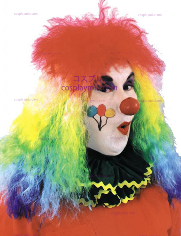 Rainbow Curly Clown Peruker