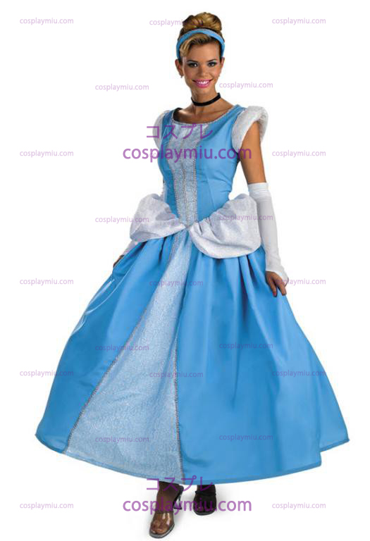 Prestige Vuxen Cinderella Dress Kostym