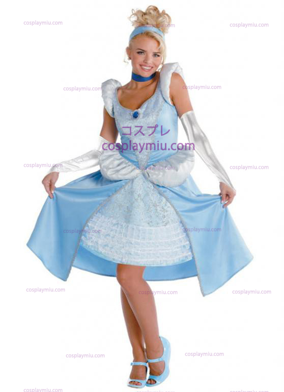 Vuxen Cinderella kostym